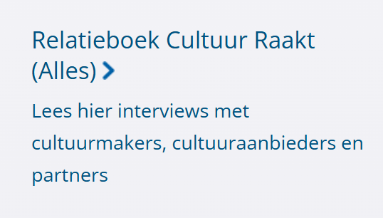 Relatieboek Cultuur Raakt Alles